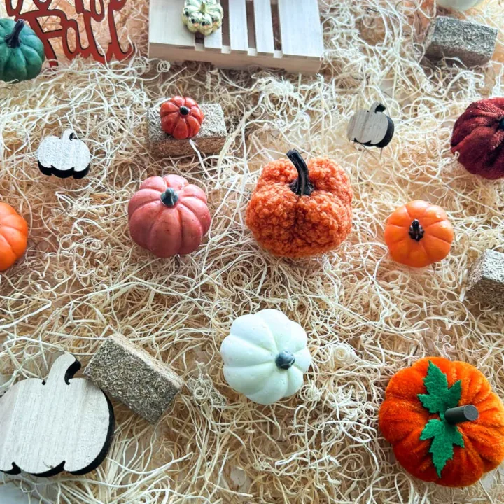 Image for Pumpkin Matching Game