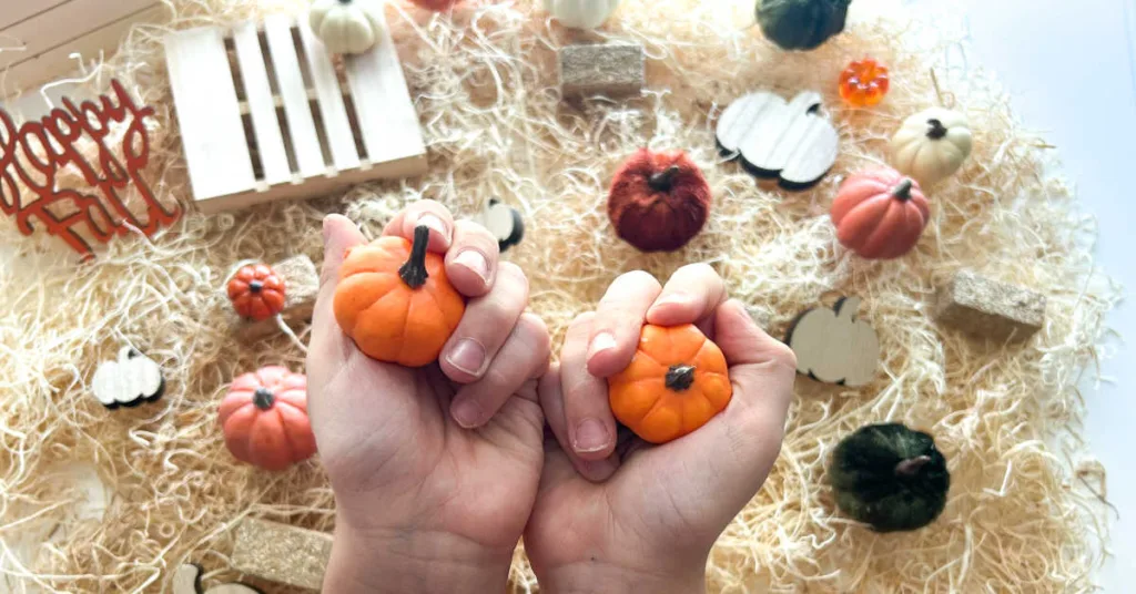 Create hands-on fall learning with this Pumpkin Matching Game that transforms simple autumn décor into an engaging visual discrimination activity kids love to explore.