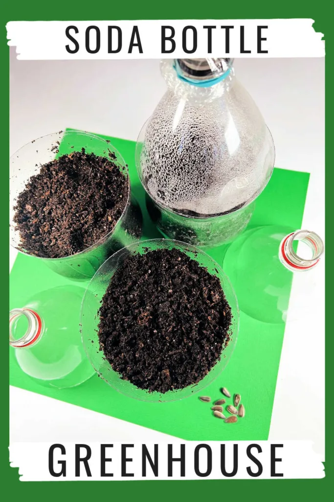 Create hands-on science fun with this Soda Bottle Greenhouse that transforms recycled bottles into mini growing stations kids can observe and care for.