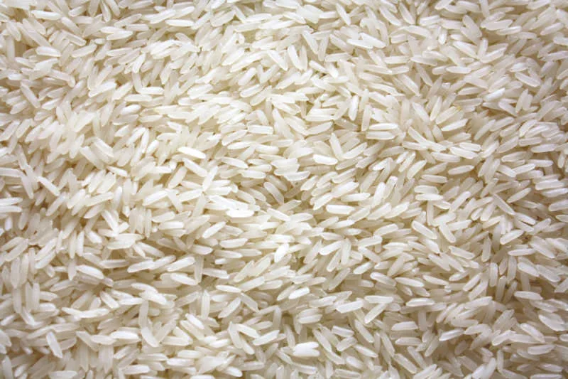 raw jasmine rice