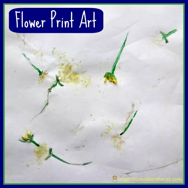 Image for Flower Print Art