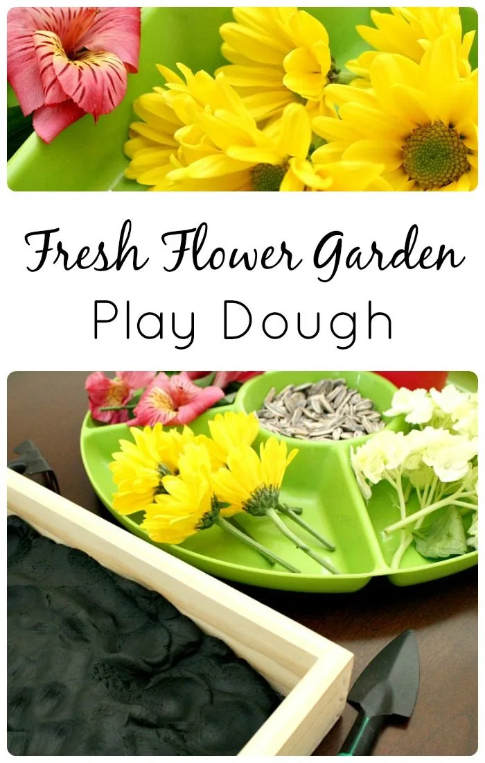 Image for Flower Garden Play Dough