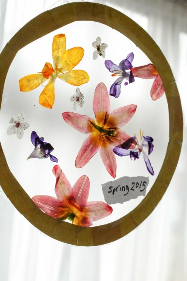 Image for Dried Pressed Flowers Suncatcher Craft