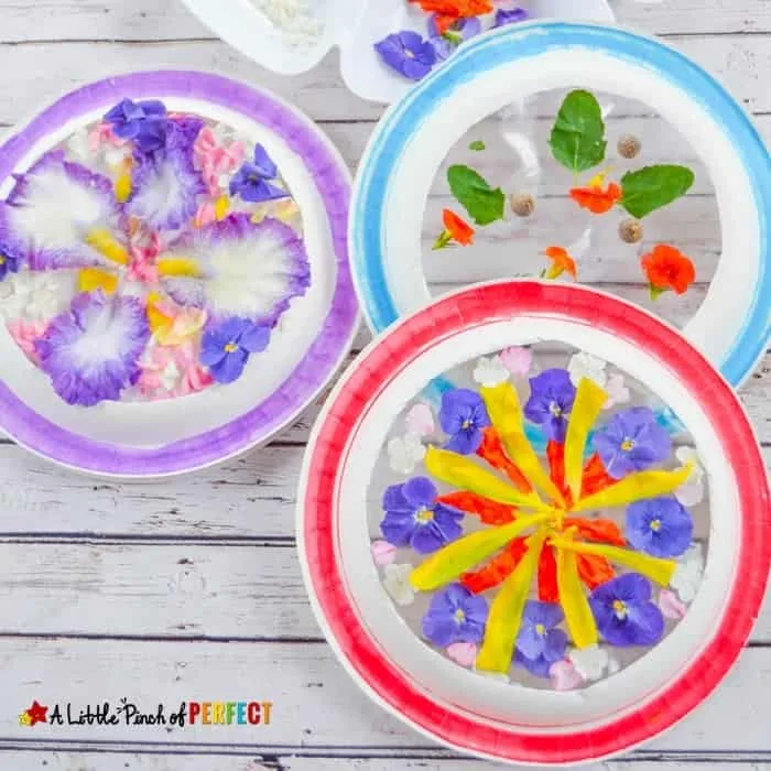 Image for Beautiful Suncatcher Flower Mandalas