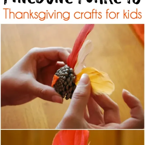 Image for Pinecone Turkeys