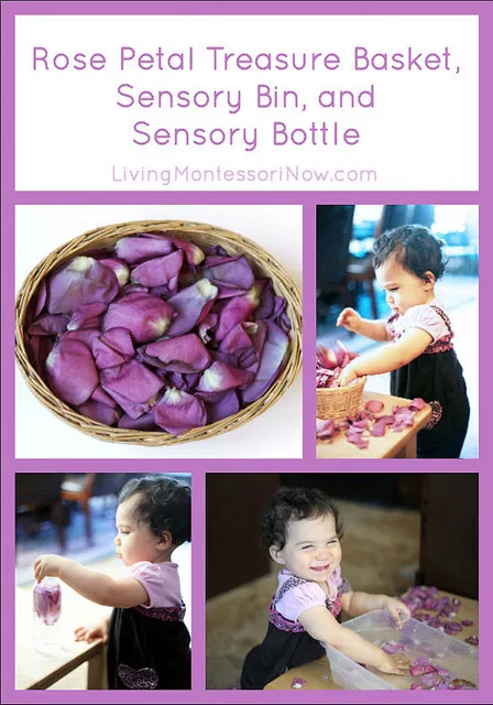 Image for Rose Petal Treasure Basket, Sensory Bin and Sensory Bottle