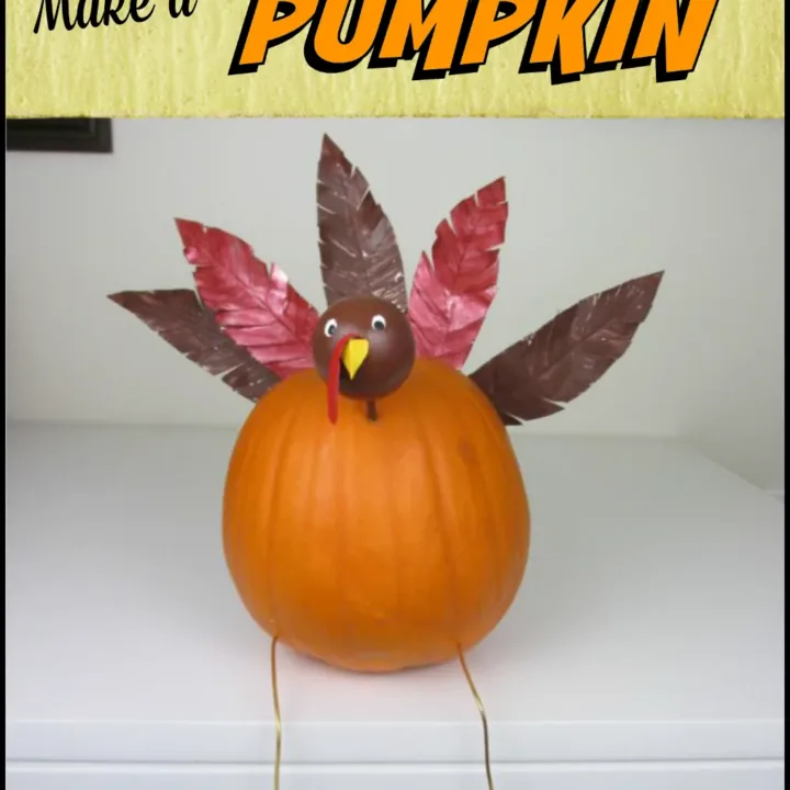 Image for Turkey Pumpkin