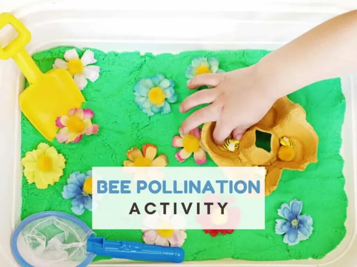 Image for Bee pollination activity