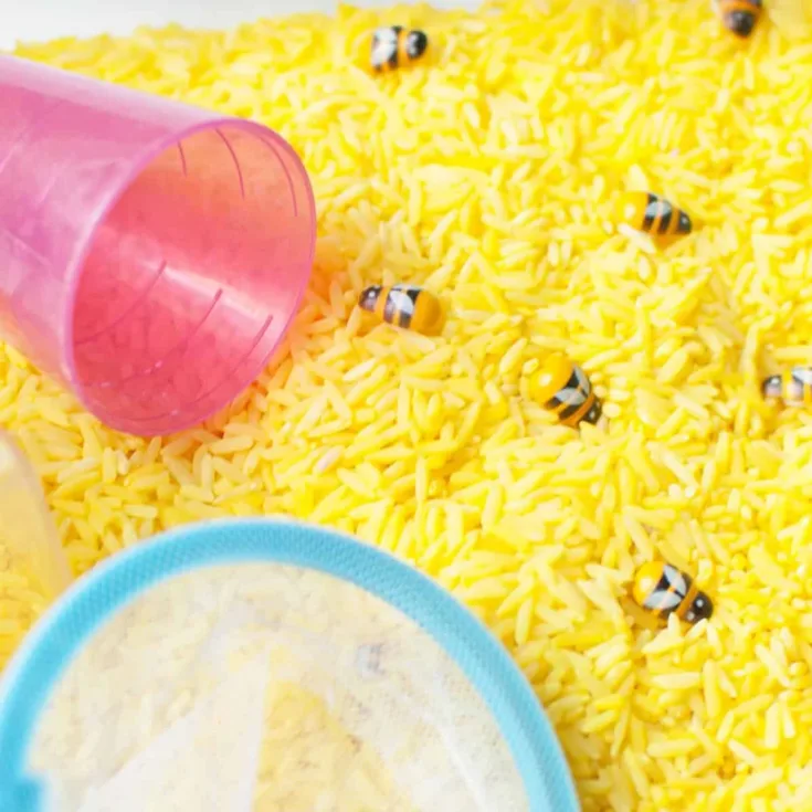 Image for Bee Sensory Bin