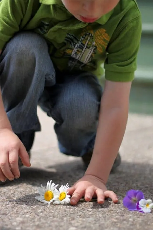 Image for Try an Easy Counting Flower Petals Math Activity for Kids