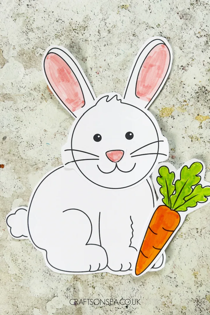 Image for Build a Bunny Craft