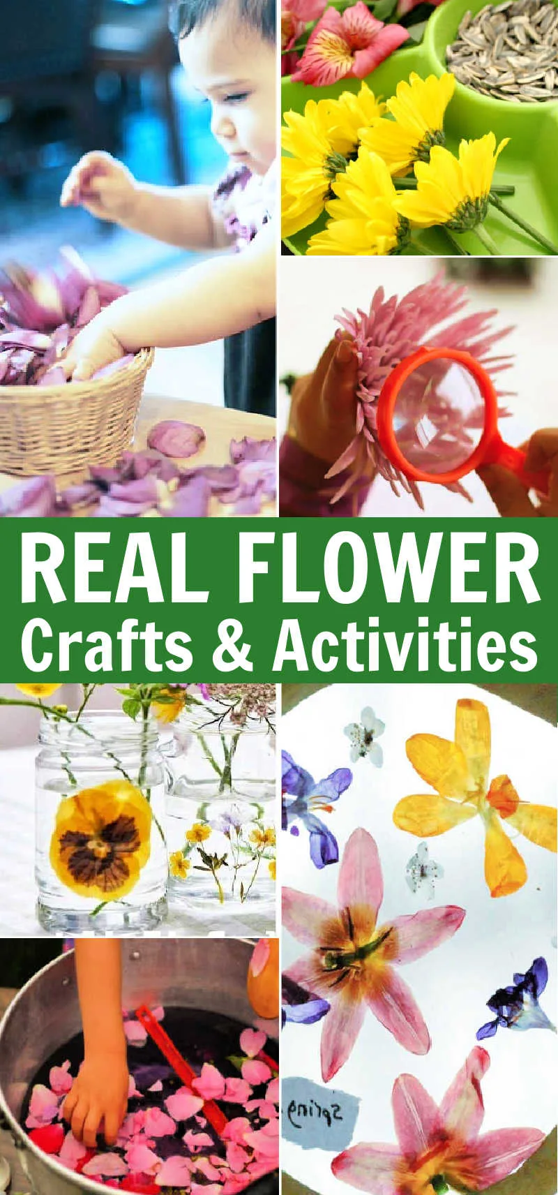 Flower Crafts and Activities for Kids Using REAL Flowers