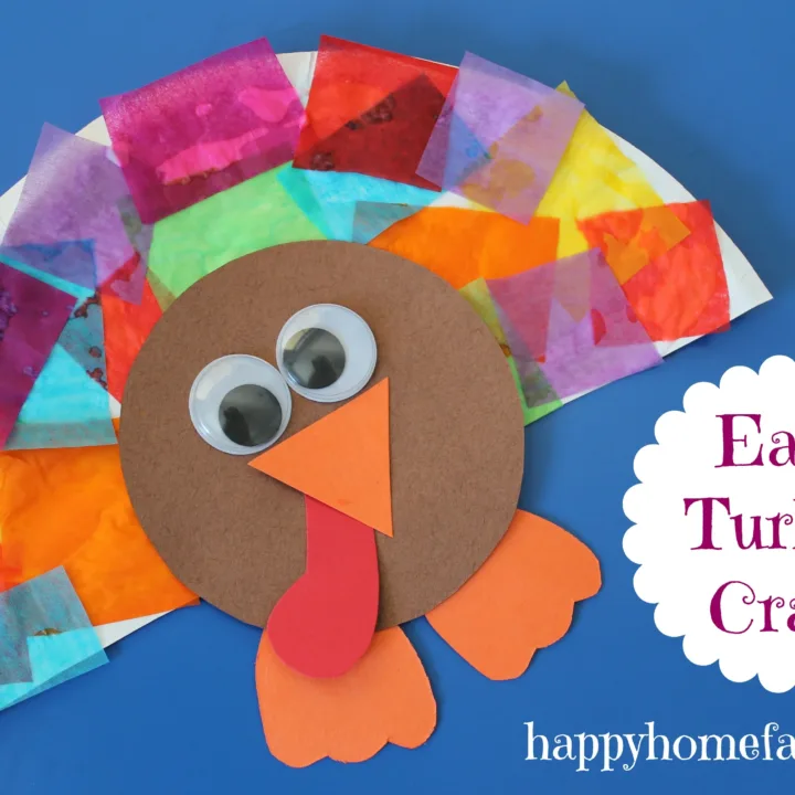 Image for Easy Turkey Craft
