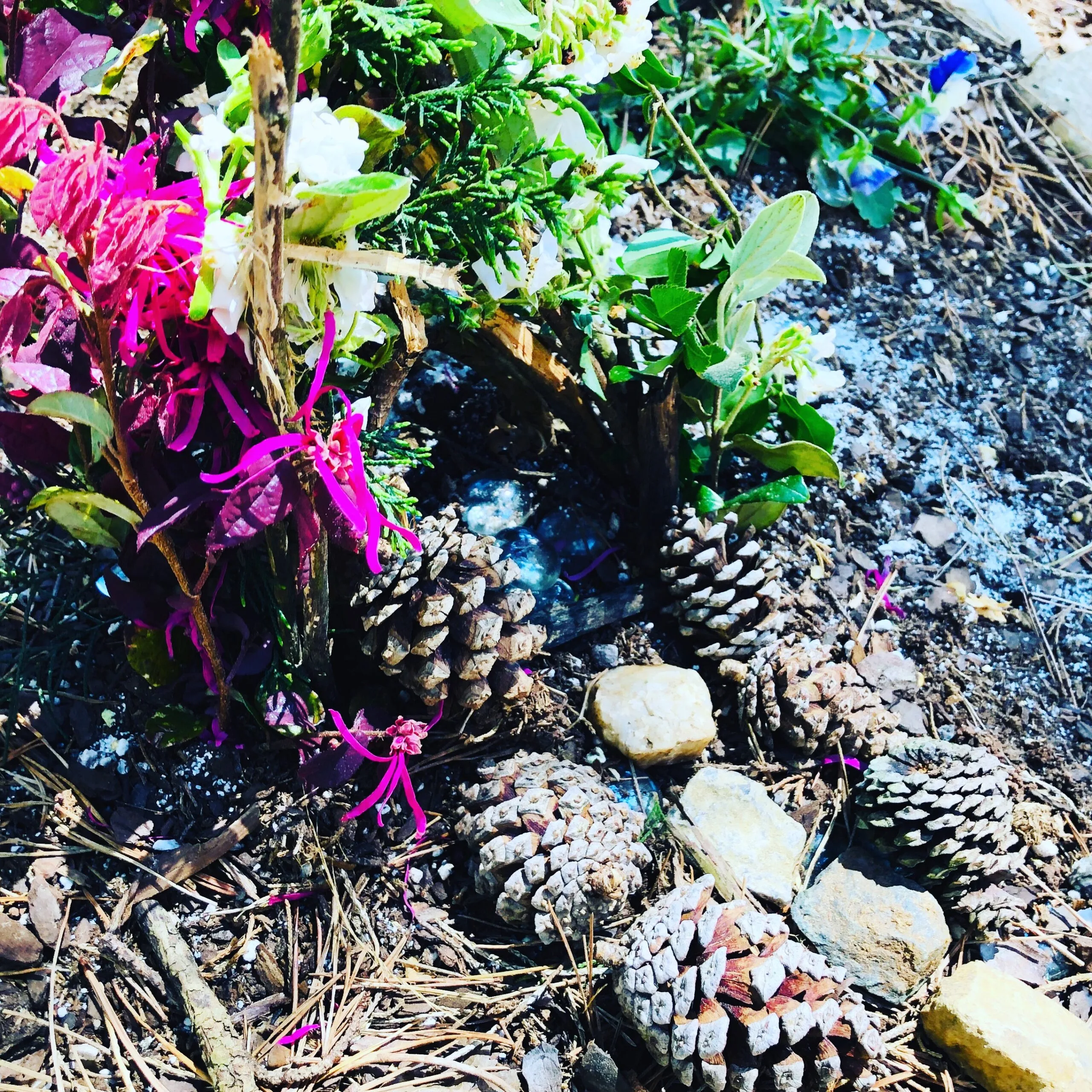 Image for Nature Fairy House Building Activity