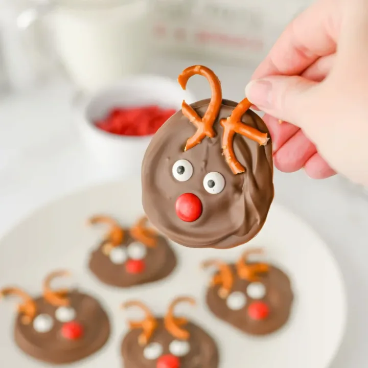 Image for Reindeer Bark Recipe: