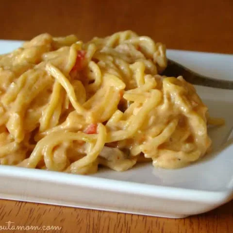 Image for Crock-Pot Chicken Spaghetti with Velveeta