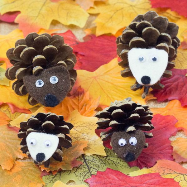 Image for Pinecone Hedgehogs