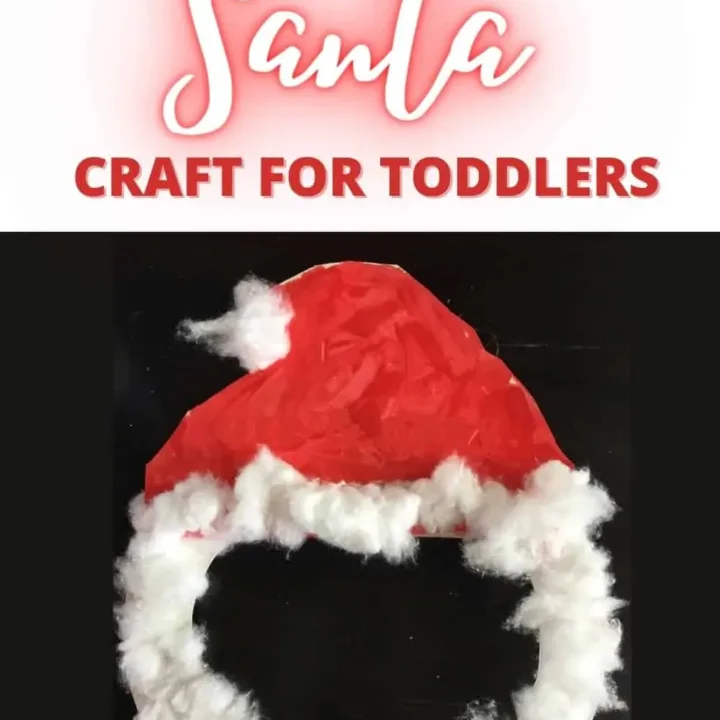 Image for Paper Plate Santa Craft