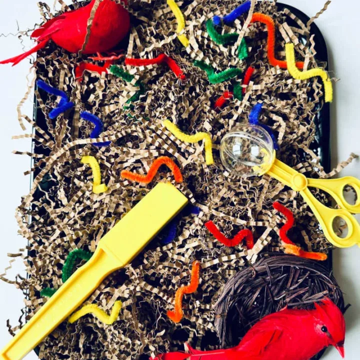 Image for Birds and Worms Sensory Bin