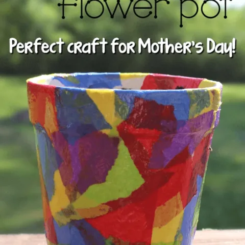 Image for Tissue Paper Flower Pot