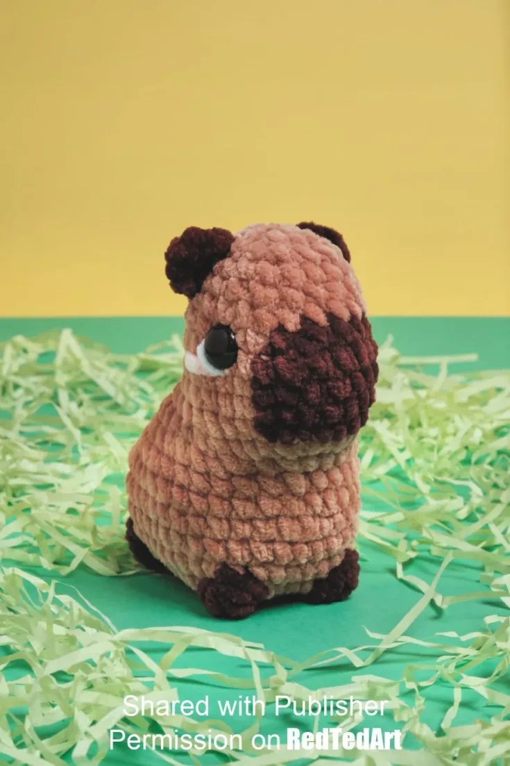 Image for Capybara Crochet Project For Beginners