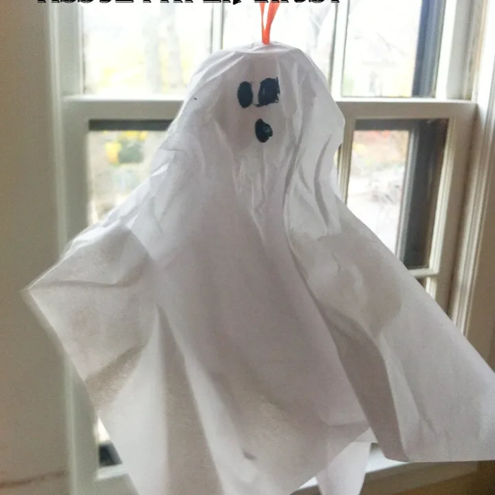 Image for Egg Carton and Tissue Paper Ghost