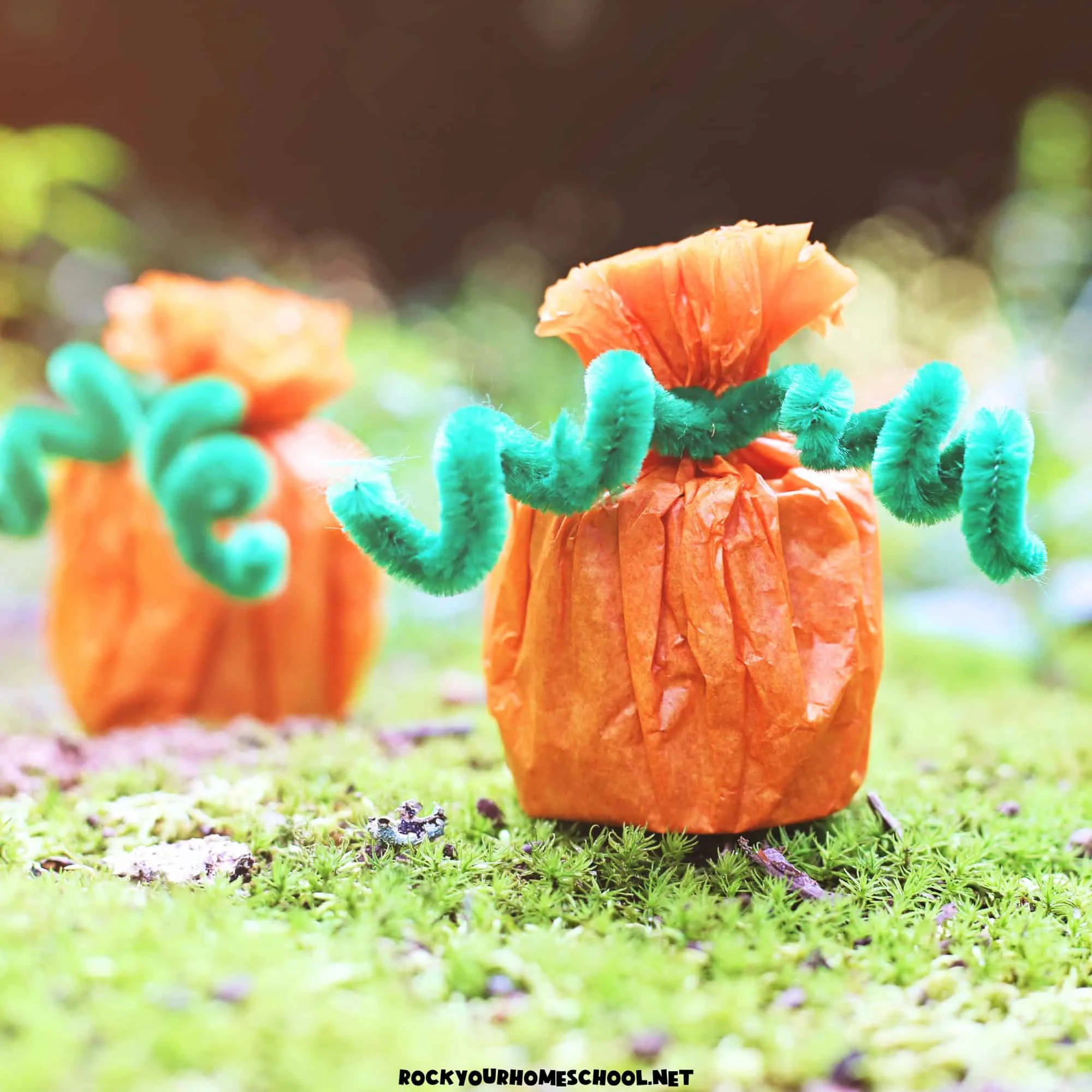 Image for Toilet Paper Roll Pumpkin Craft