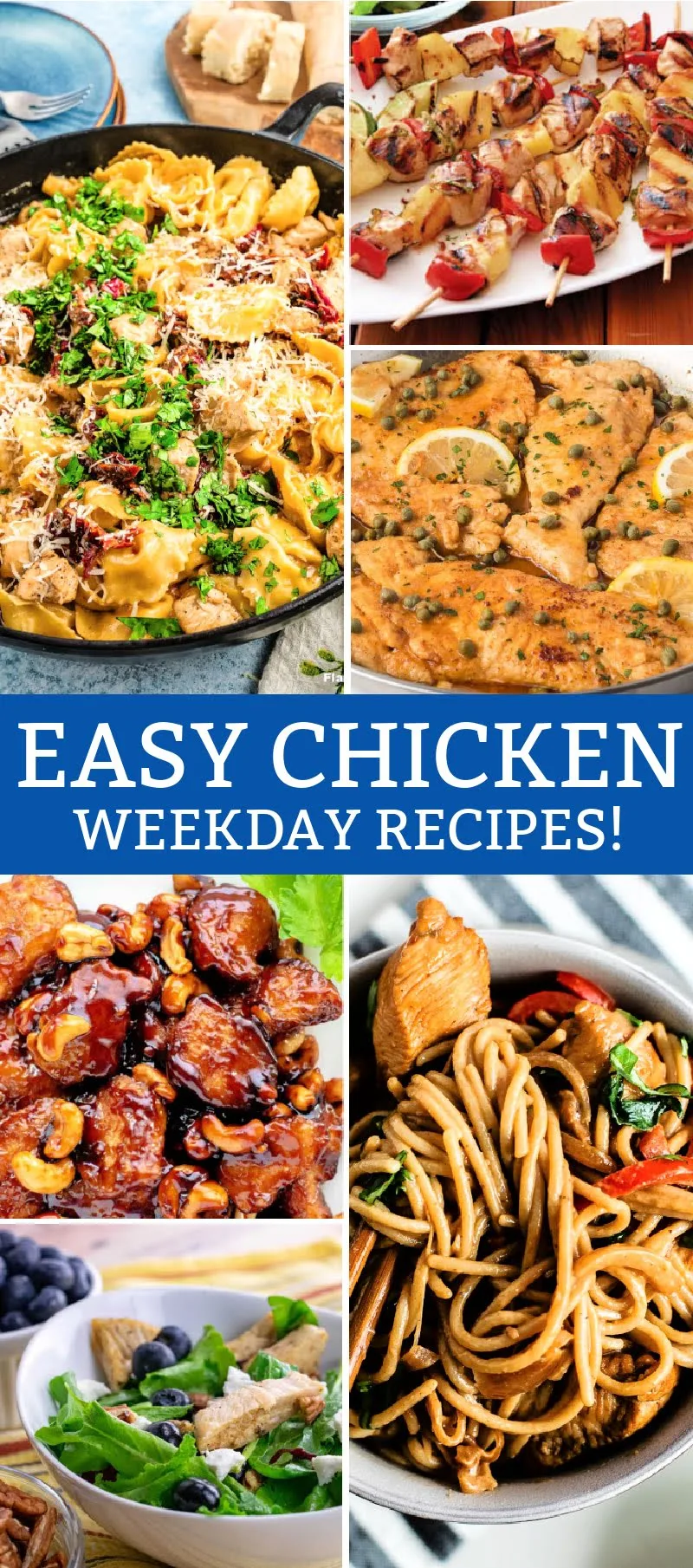 Best Chicken Breast Recipes for Easy Family Dinners