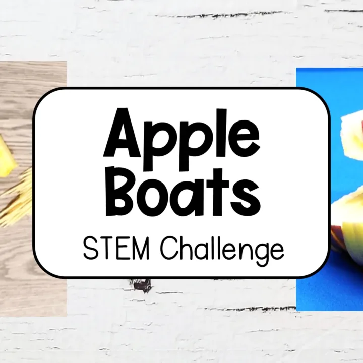 Image for Apple Boats Science Experiment