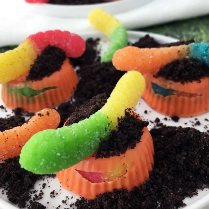 Image for Worms in the Dirt Dessert Candy