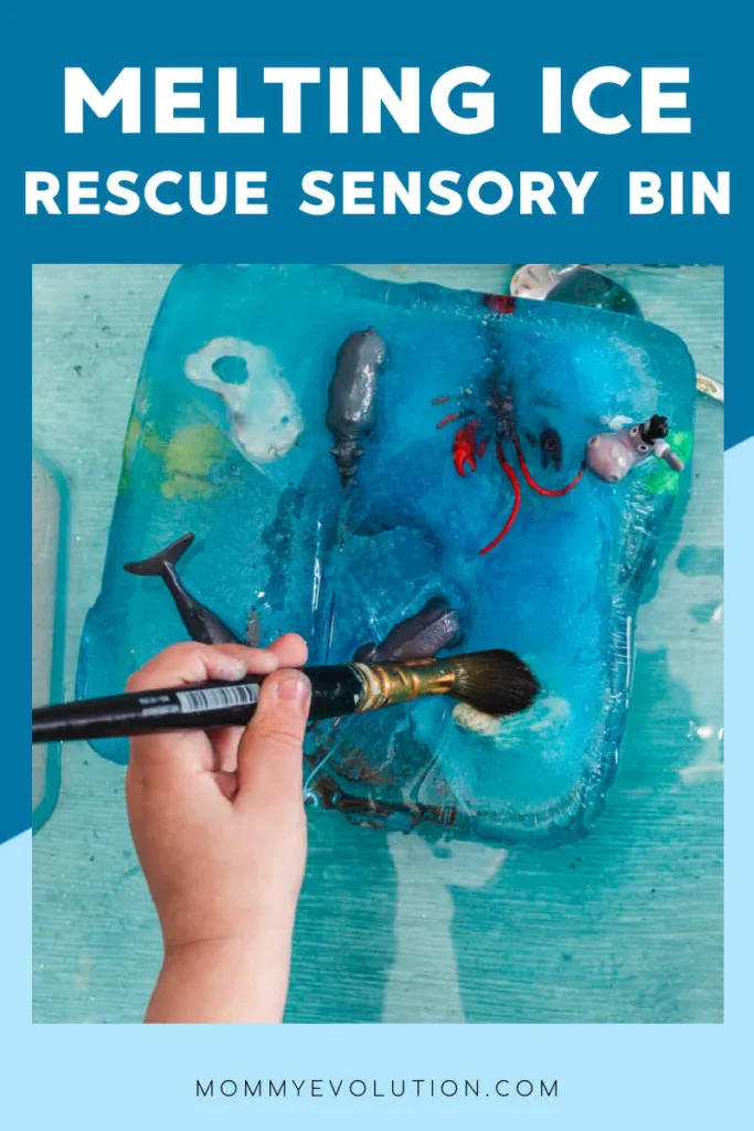 Bring chilly, hands-on discovery to sensory play with this Ice Rescue Melting Sensory Play, an engaging activity designed to spark curiosity, strengthen fine motor skills, and encourage problem-solving as kids rescue frozen animal figures from blocks of ice.