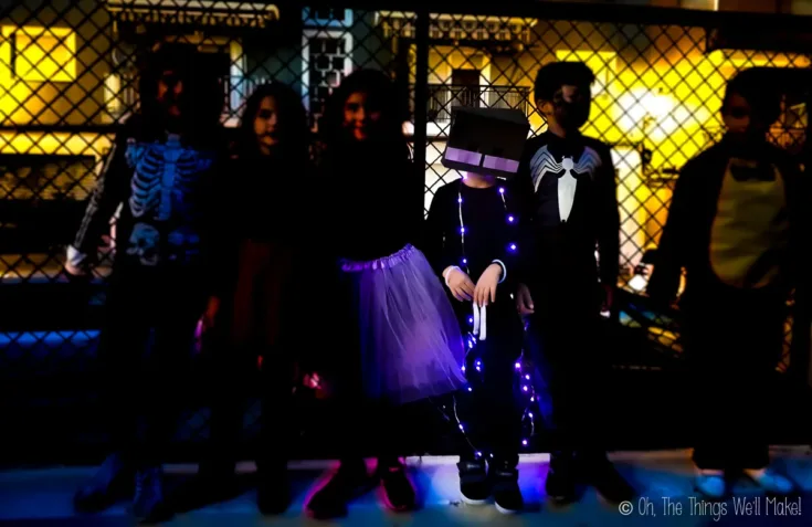 Image for Enderman Costume (Minecraft)