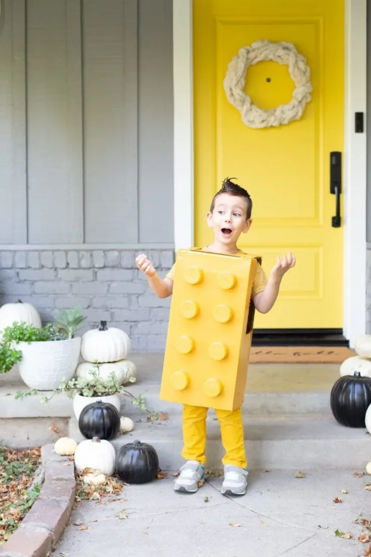 Image for LEGO Costume