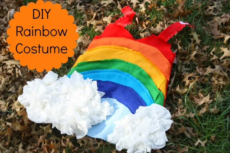 Image for DIY Rainbow Costume