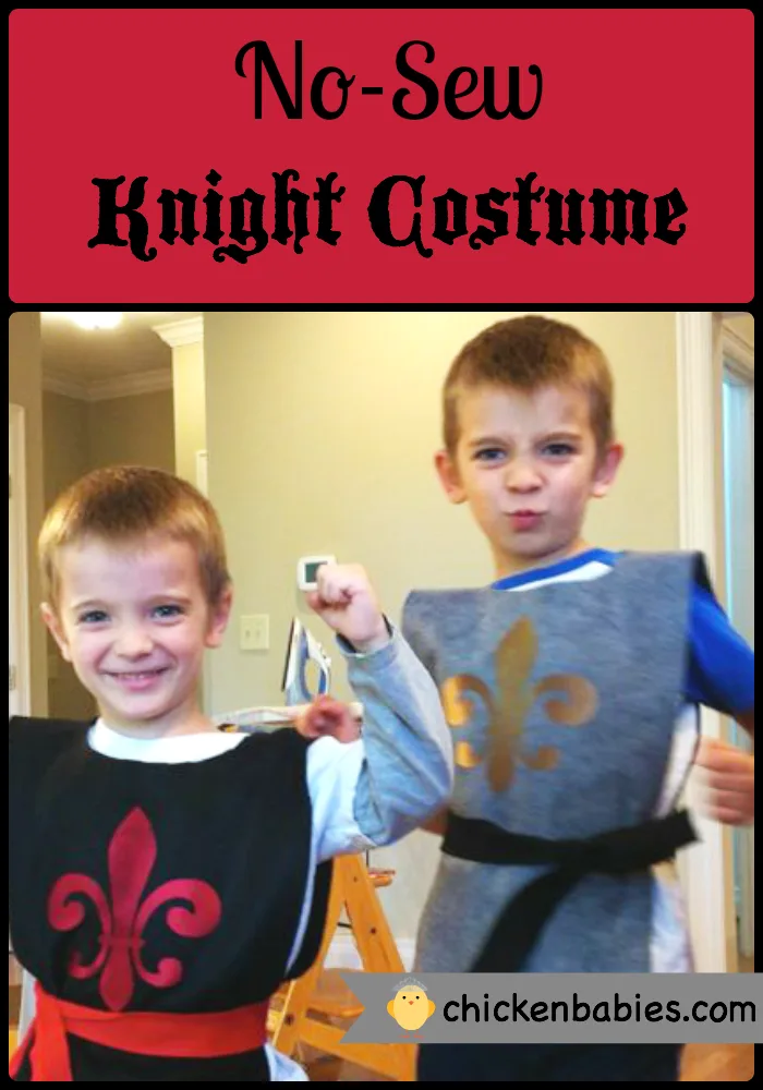 Image for No-Sew Knight Costume