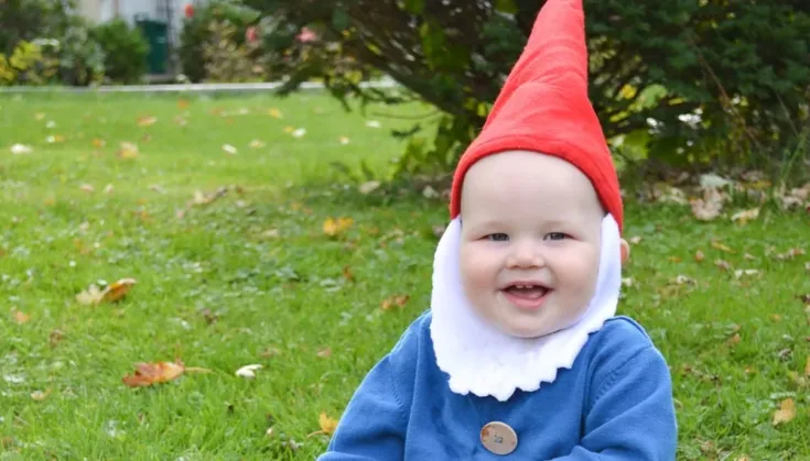 Image for DIY Gnome Costume