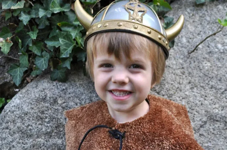 Image for Homemade Viking Costume 
